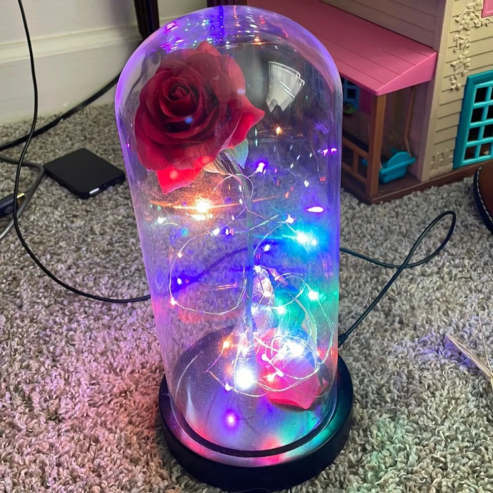 USB Beauty and the Beast  nightlight
